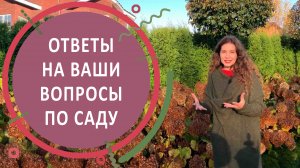 Ответы на вопросы по саду с гортензиями в КП "Никольские Озёра"