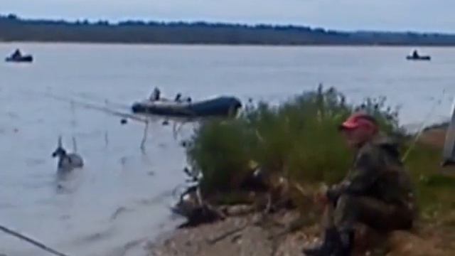 мужик гребет против течения смотреть онлайн