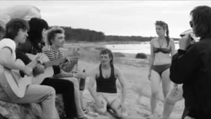 Случайный гость, перевод песни гр. Дорз "Summer's almost gone"