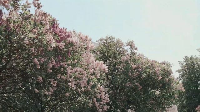 атмосферные места Санкт-Петербурга смотреть онлайн