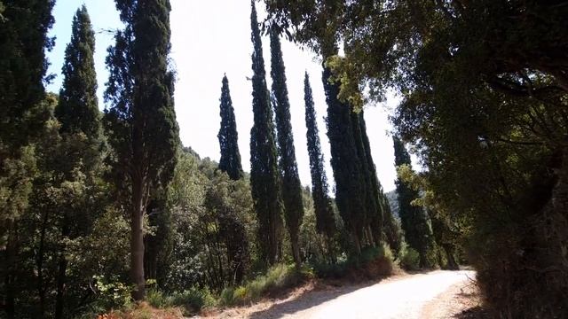 С Афона о том,где место для Христа в нашей жизни. смотреть онлайн