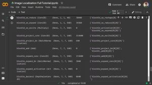 Image Localization: Explanation + Code in TensorFlow (And how to make Multi-Output Models!)