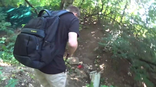 Прогулка в коломенском парке с собакой смотреть онлайн