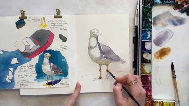 Чайка с характером) Этюд птицы в ярком освещении. смотреть онлайн