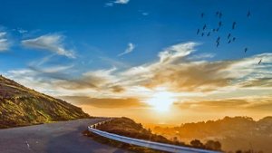 Как Душа отвечает человеку