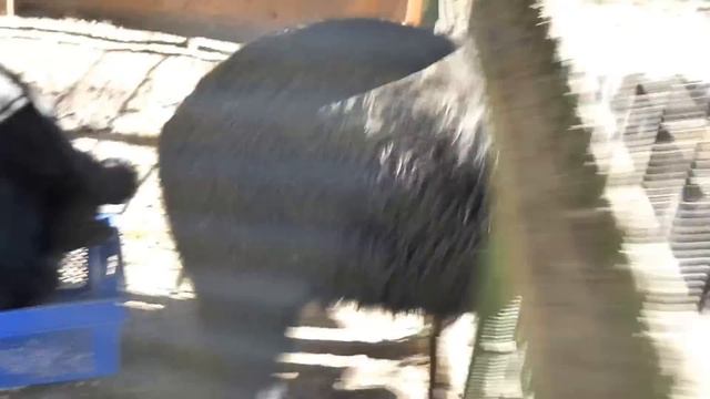 Миша и Маша смотреть онлайн