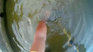 СКОЛЬКО ЗОЛОТА НАШЁЛ МИНОИСКАТЕЛЕМ В ПАНДЕМИЮ. ПОИСК УКРАШЕНИЙ В ВОДЕ