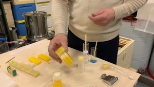 РАБОТА С МАТКАМИ. ЧАСТЬ 1: ПОИМКА И МЕЧЕНИЕ МАТКИ