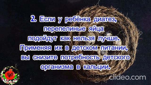 Польза перепелиных яиц Чем полезны яйца перепелов Лечебные свойства перепелиных яиц Перепела смотреть онлайн
