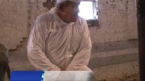 Как вылечить мастит у дойных коров решали в Альметьевском районе