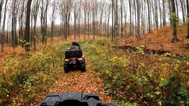 Покатушки на квадроциклах BRP Autlender 1000R XTP Max LTD по лесам и болотам 4K 30.10.2022 смотреть онлайн