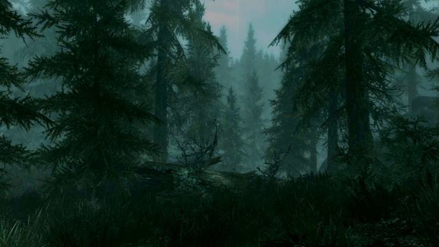 Skyrim Ambience - Foggy Rainy Forest - 1 hour смотреть онлайн