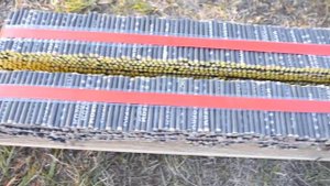 Что будет, если взорвать очень много петард