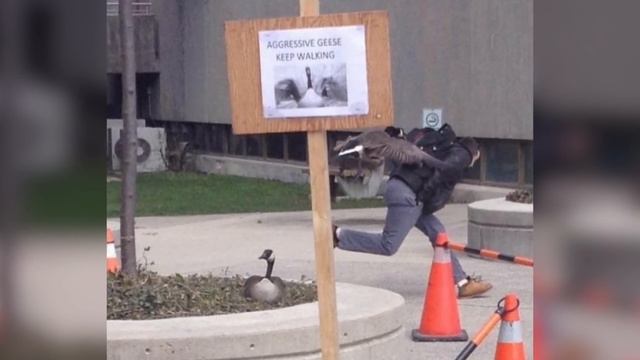 Случаи "Идеального" Утра Понедельника смотреть онлайн