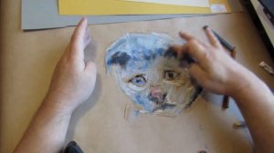 Как научиться рисовать начинающим. Как рисовать эмоции животных пастелью.