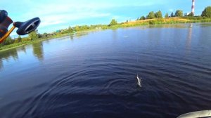 Ловля ЩУКИ и Окуня на спиннинг Осенью!!!Лучшая БЛЕСНА для Ловли хищника!!!