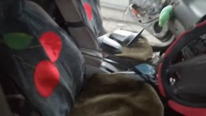 Попала на ремонт Тойота Королла 110 кузов.