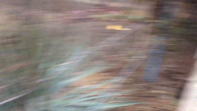 Мои цыпочки! смотреть онлайн