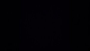 Ария Рудольфа Богема