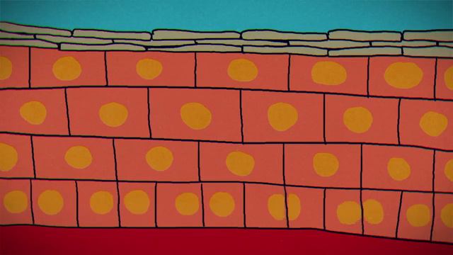 What causes dandruff, and how do you get rid of it - Thomas L. Dawson.mp4 смотреть онлайн