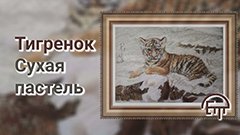 Тигренок. Сухая пастель.