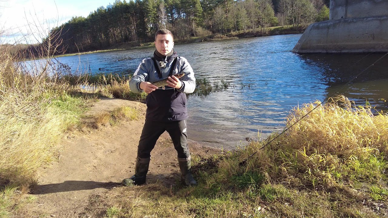 #рыбалканареке #Щука #рыбалкаосенью
Выбрался половить щуку осенью на реку Неман. На этом участке оче