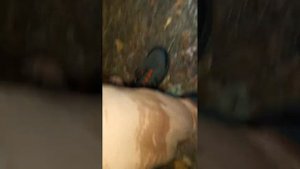 Вейдерсы Norfin Pilot Bootfoot Camo с сапогамиТекут или норма?