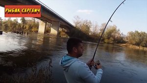 Реальная рыбалка на сома с берега Поймал огромную рыбину