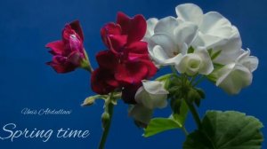 Unis Abdullaev - Spring time (Piano, instrumental, нежная музыка для души)