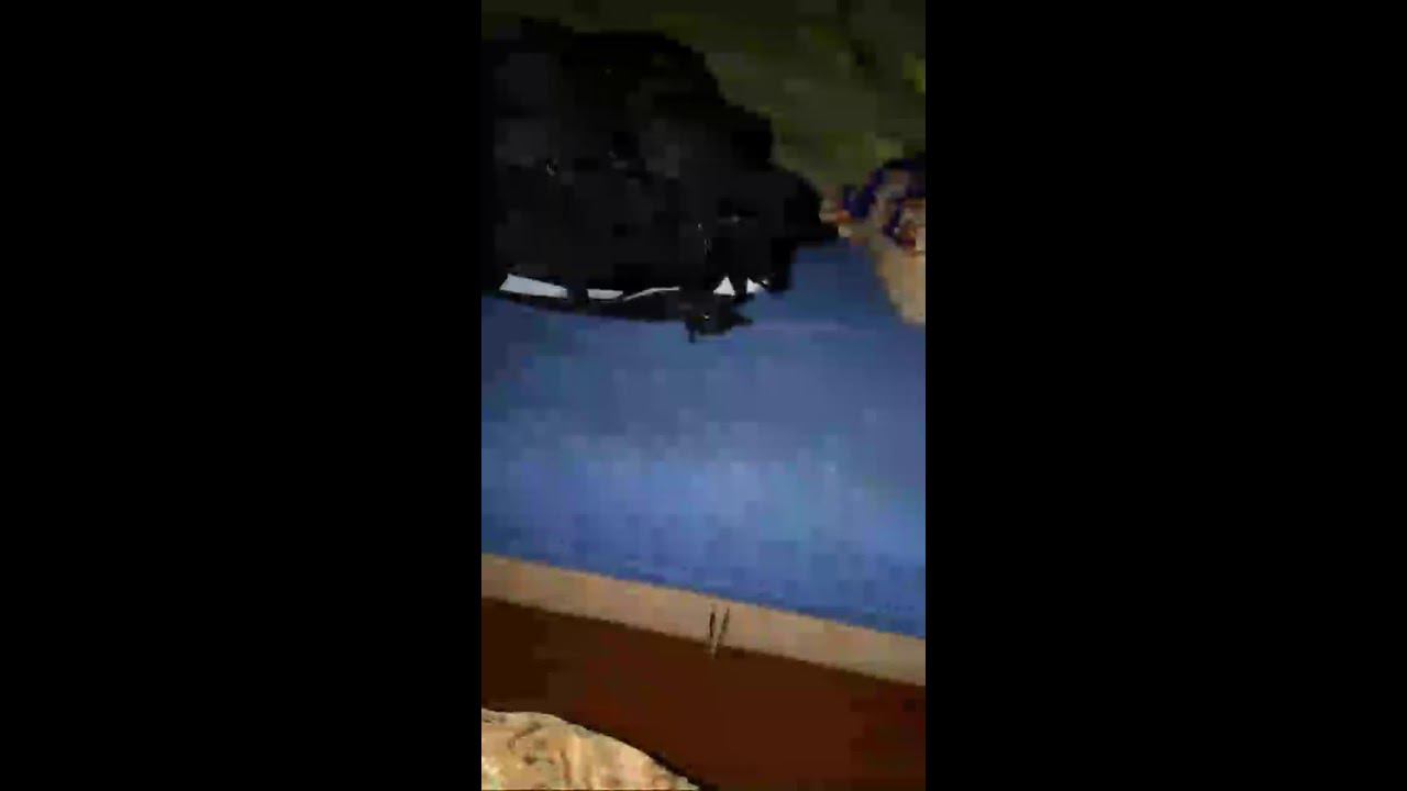 Mr Gamer FF в прямом эфире! смотреть онлайн