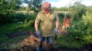 Виноград с нуля. Обустраиваем школку для винограда.