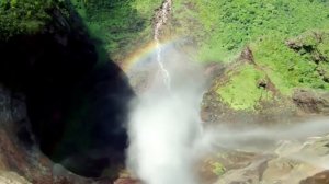 Жанды және жансыз табиғат