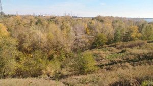 Река Сухая Мечётка течёт в овраге между посёлком ГЭС и Спартановкой Волгоград 16.10.2022