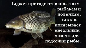 Поплавок с индикатором поклёвки.