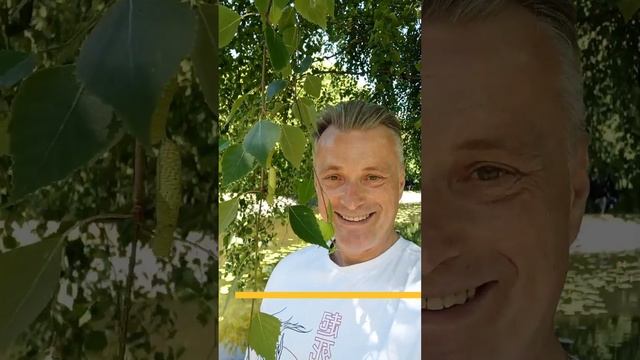 Сергей Смирнов_Школа РАДОСТИ_Дзен.mp4