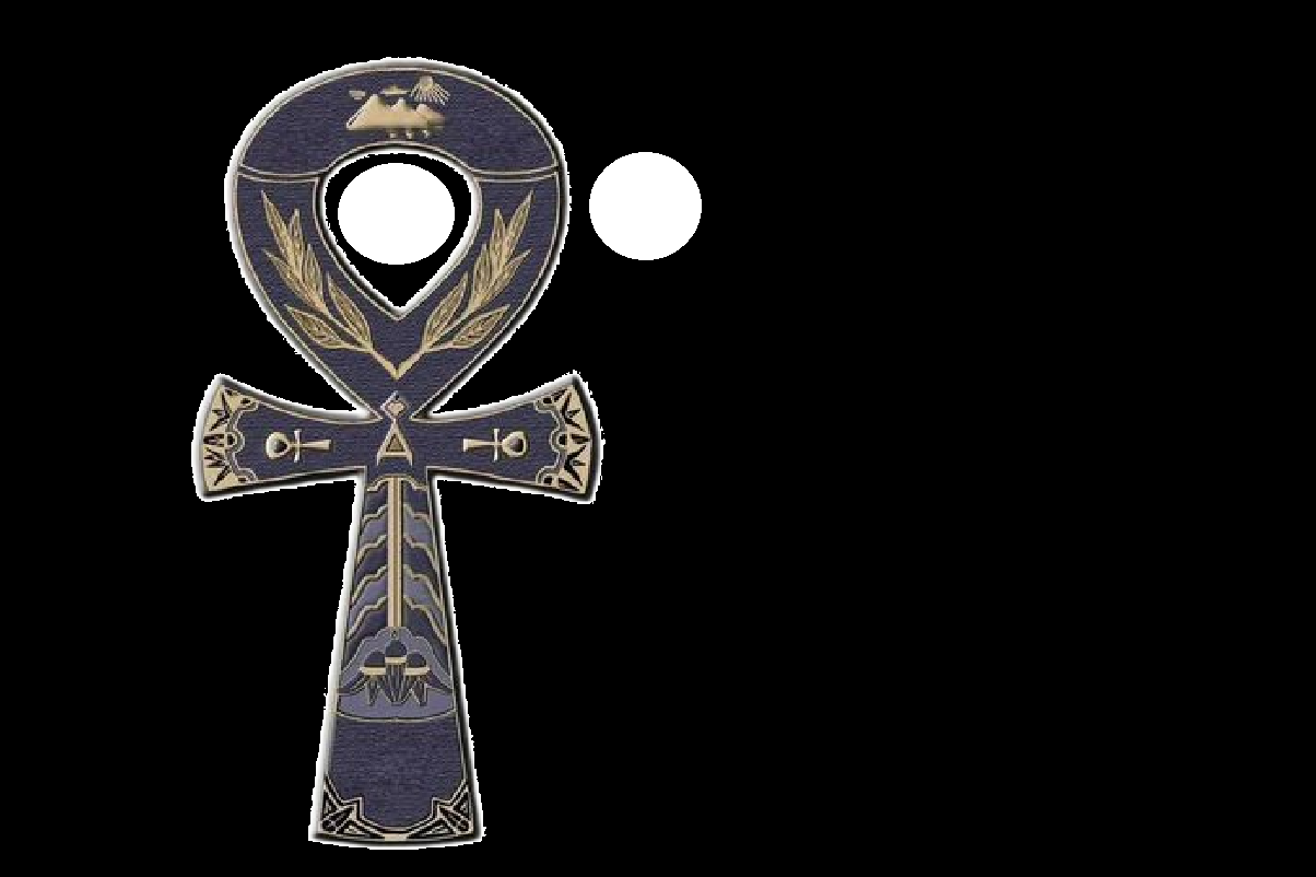 александр николаевич пайков. александр николаевич пайков. пайков н н. блокадный паек. пайков н н.