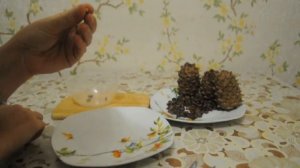 ЧИСТИМ КЕДРОВЫЕ ОРЕШКИ ЛЕГКО