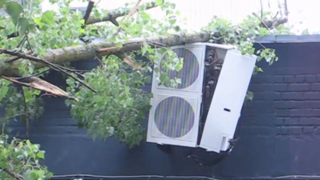 Десна-ТВ: На крышу магазина упало дерево смотреть онлайн