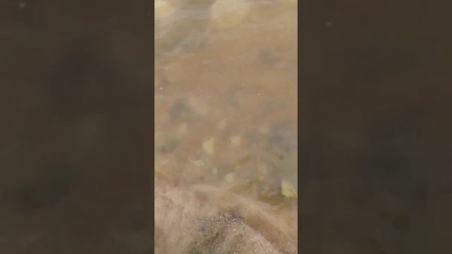 Глиняный карьер, добыча глиняных камушков? смотреть онлайн