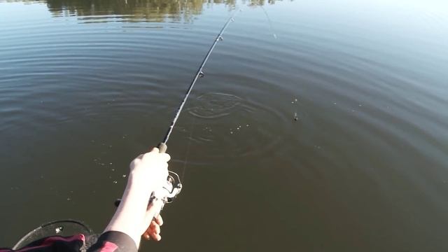 Как поймать форель на фидер. смотреть онлайн