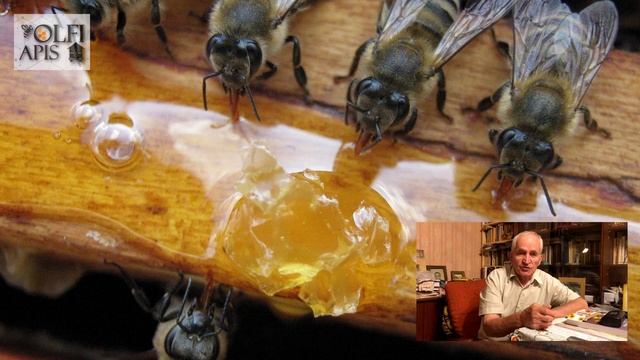 #Кашковский В. Г. Уксусная кислота для подкормки пчел смотреть онлайн