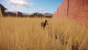 Planet Zoo С нуля