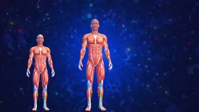 Grow Taller Faster 31.32 Hz | Pituitary Gland Stimulation To Release Growth Hormone Binaural Beats смотреть онлайн