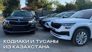 Пригнали Skoda Kodiaq и Hyundai Tucson из Казахстана без посредников. Привезли и оформили авто в РФ