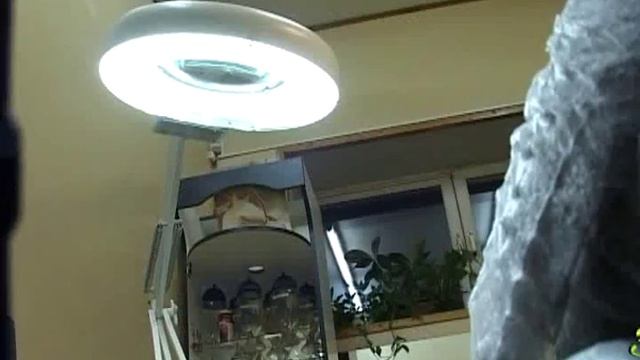 Чистка лица Вита-Бэль.avi смотреть онлайн