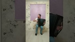 Подгорная на баяне.