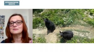 Прогулки по Канаде. Онлайн-экскурсия проекта "Путешествуем вместе"