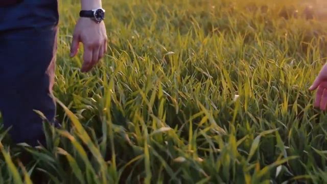 Город влюбленных людей смотреть онлайн