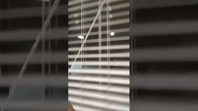 Деревянные жалюзи , белые смотреть онлайн