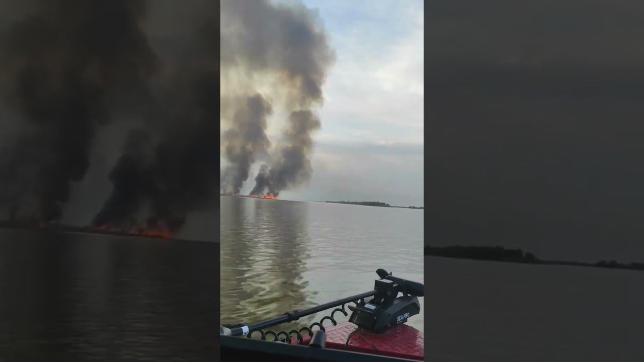 Астрахань, тростник #fishing смотреть онлайн